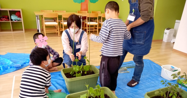 教室菜園